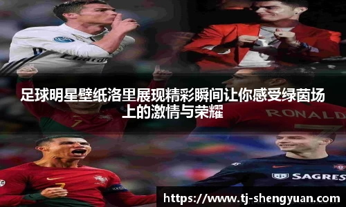 足球明星壁纸洛里展现精彩瞬间让你感受绿茵场上的激情与荣耀