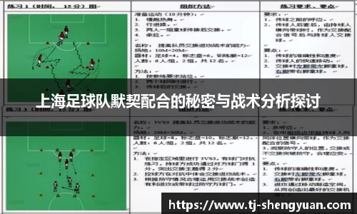上海足球队默契配合的秘密与战术分析探讨
